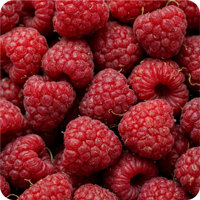 Rasberry